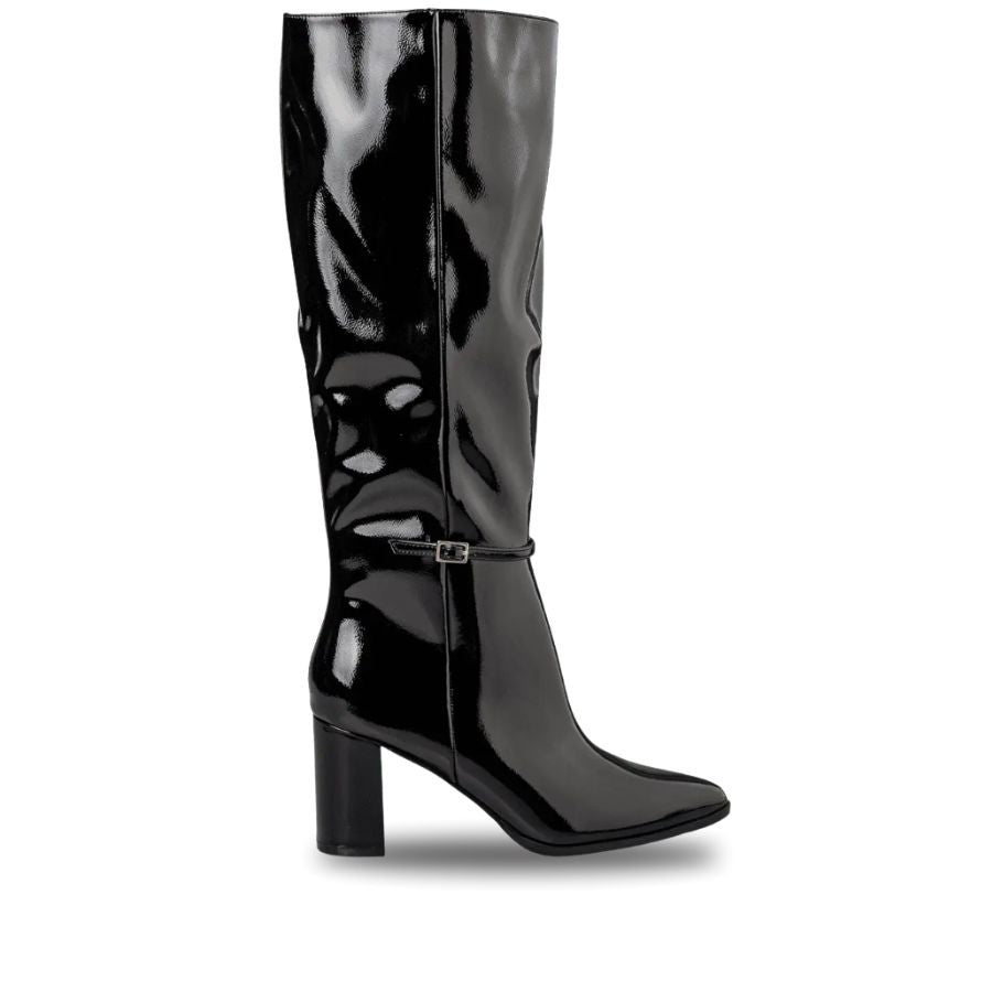 Envie Pointed Toe Shiny Boots